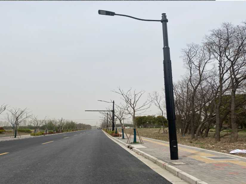 高港区上海综合杆 太阳能路灯工程